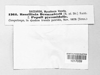 Image Associated With the Occurence